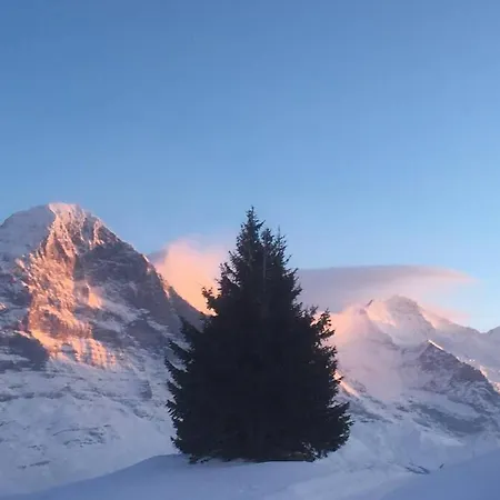 Chalet Alta Am Fusse Der Eigernordwand *