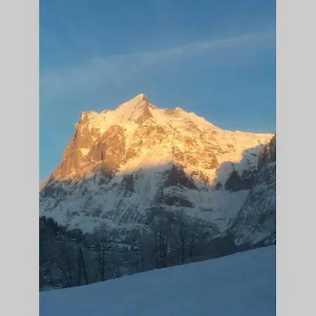 Apartment Chalet Alta Am Fusse Der Eigernordwand