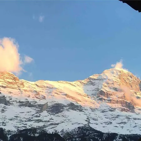 Chalet Alta Am Fusse Der Eigernordwand *